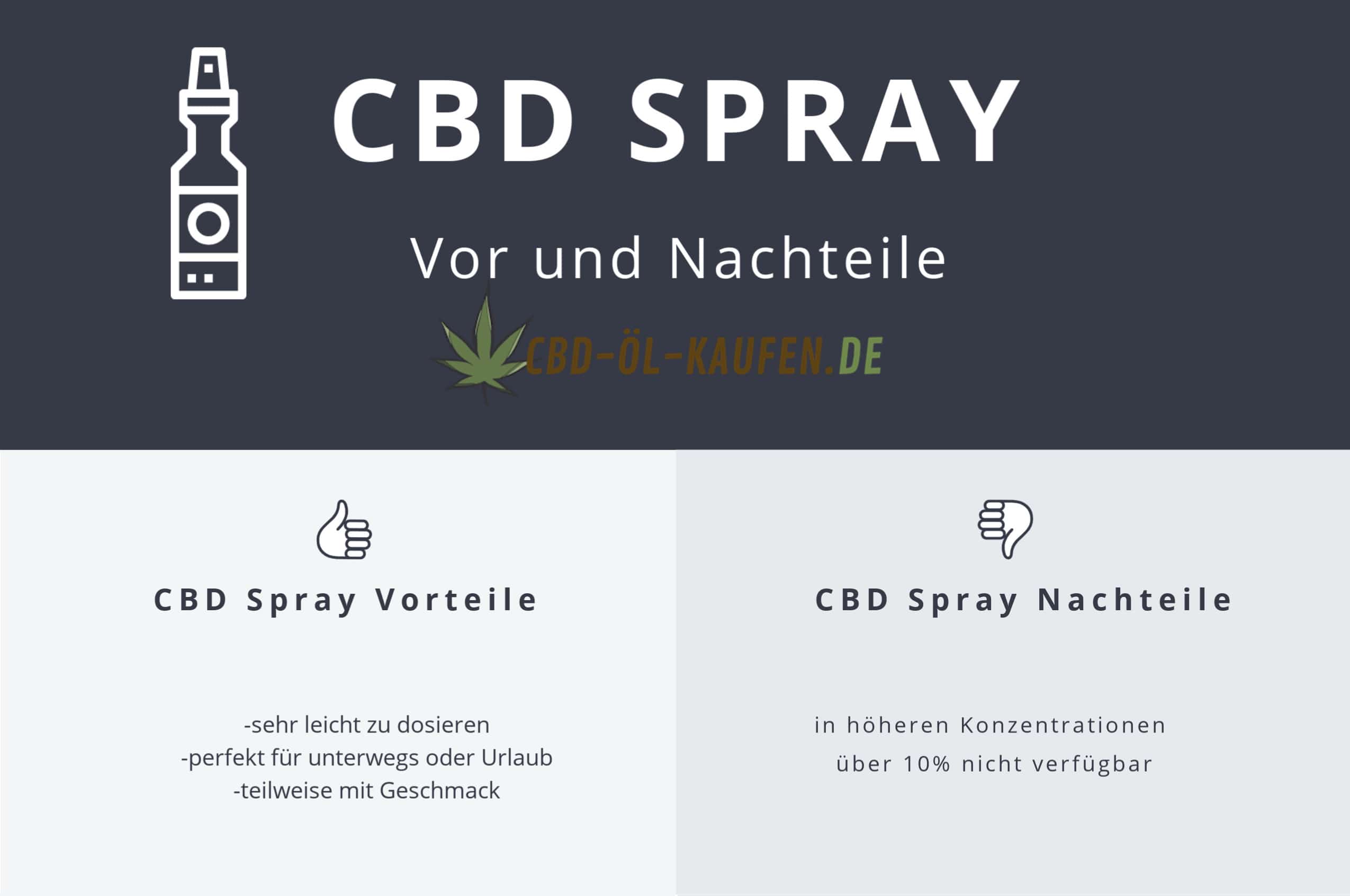 CBD Spray Infografik
